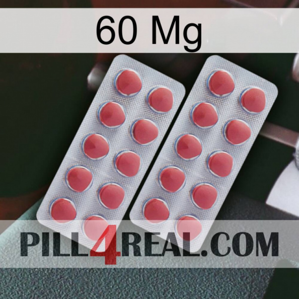 60 Mg 19.jpg